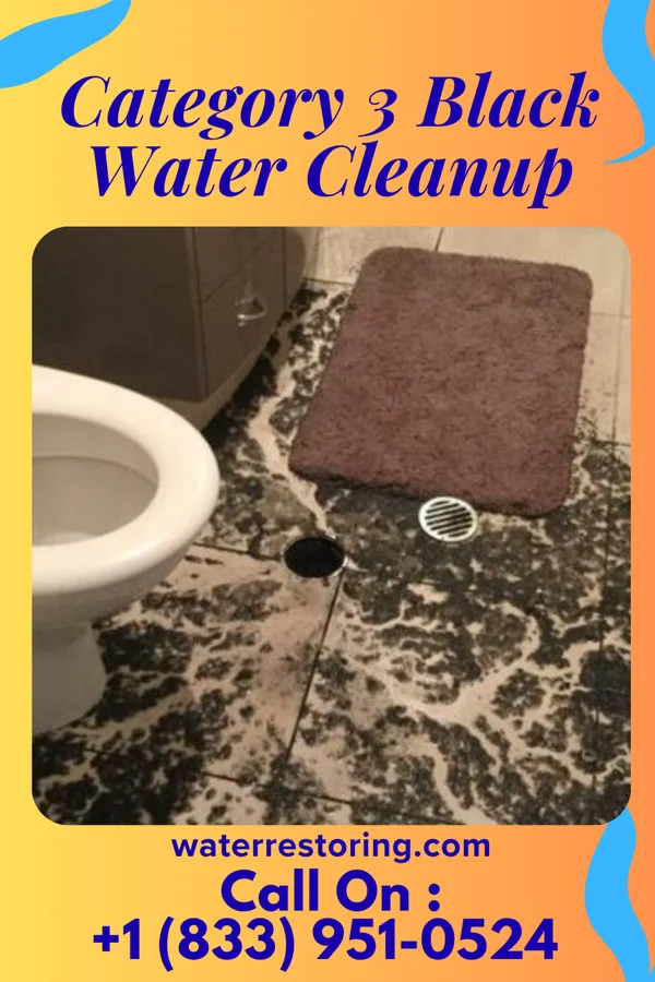 Category 3 Black Water Cleanup in Lacey, WA