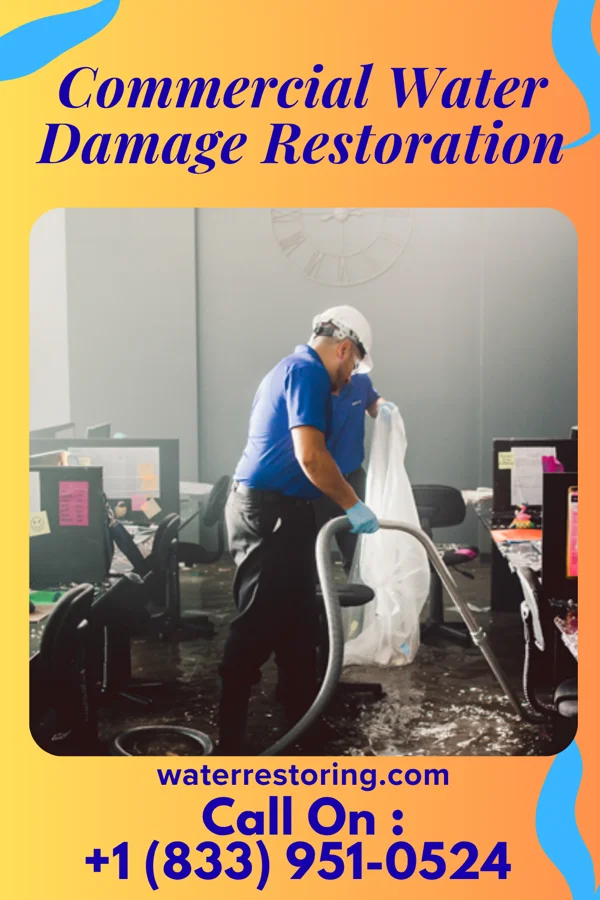 Commercial Water Damage Restoration in Lacey, WA