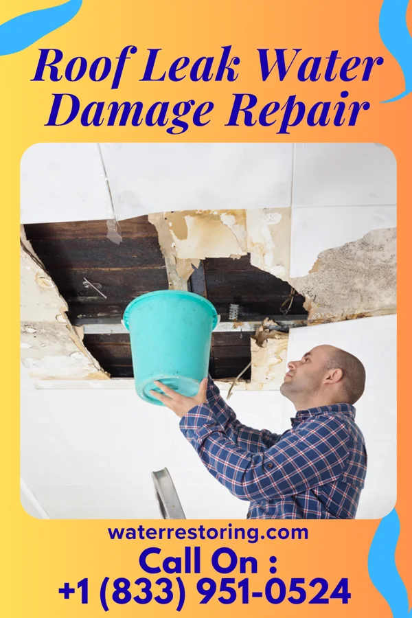 Roof Leak Water Damage Repair in Lacey, WA